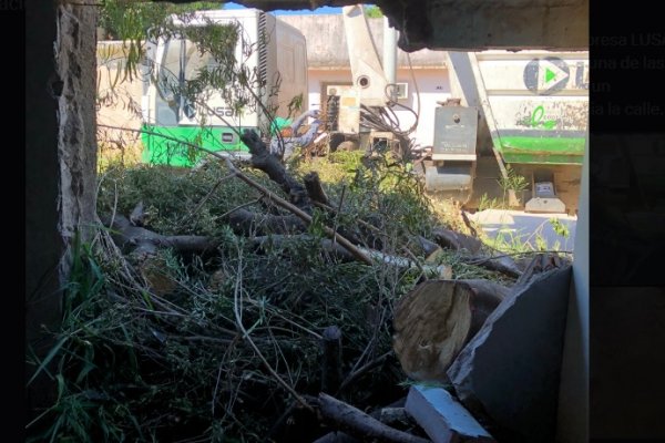 Corrientes: un camión de LUSA retiraba ramas y le derrumbó la casa