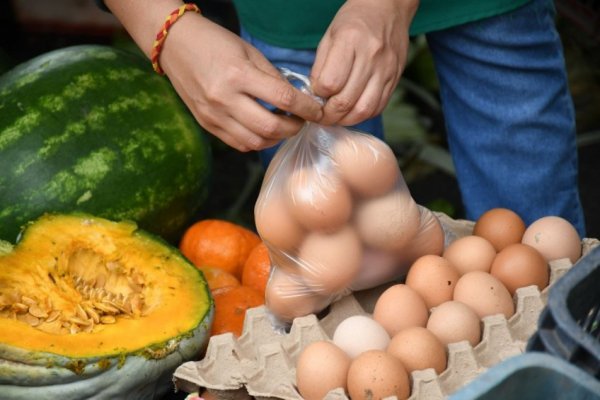 Los feriantes estarán hoy en Plaza Torrent