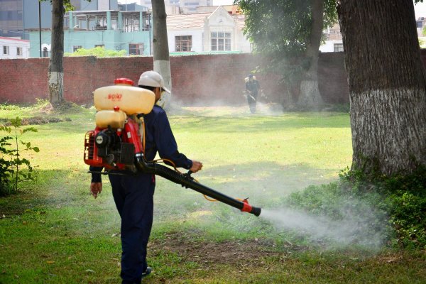 Con 75 muertes registradas, Argentina atraviesa el brote de dengue más letal