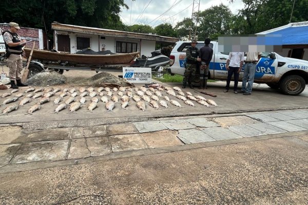Operativo “Pasión de Sábalo”: secuestramos 300 kilos de pescados en Corrientes