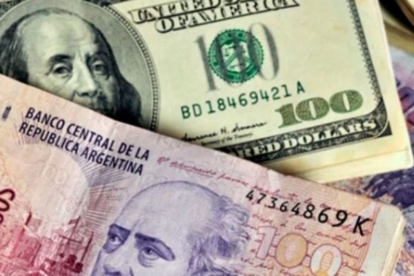 Dólar: una veloz pérdida de competitividad que abre interrogantes sobre el fin del cepo