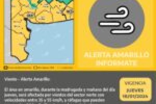 El SMN emitió un alerta amarillo por vientos intensos en Bahía Blanca y la región