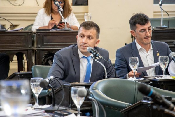 Diputados de Unión por la Patria solicitan a Valdés la provisión de vacunas gratuitas contra el Dengue
