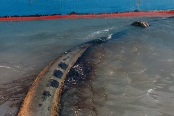 Se produjo un nuevo derrame de petróleo de Oiltanking en el Estuario de Bahía Blanca