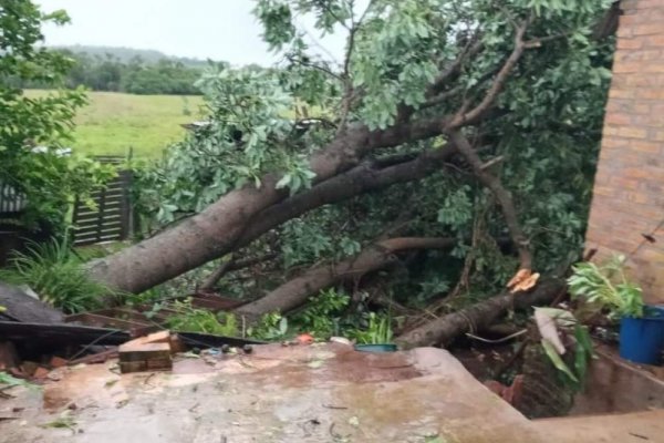 Temporal causó importantes destrozos en Colonia Liebig