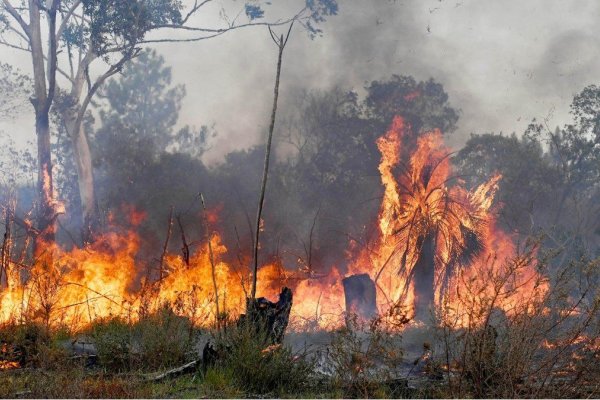 Corrientes: dos policías apagaron solos un incendio y evitaron su propagación