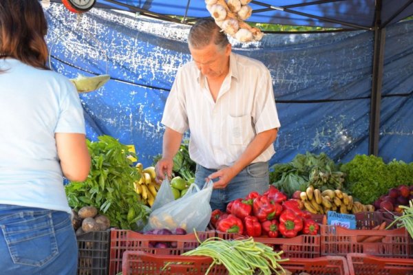 Jueves 6 de marzo: plaza La Cruz lugar de las Ferias de la Ciudad