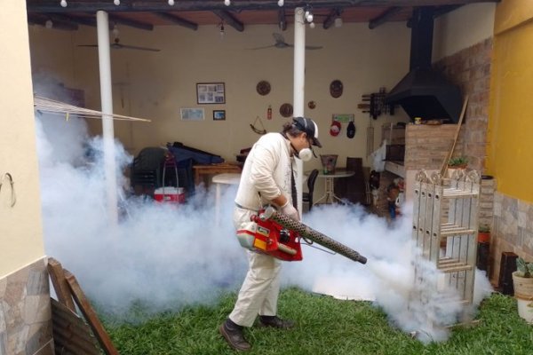 Dengue en Corrientes: confirman oficialmente que no se hacen test para confirmar diagnóstico