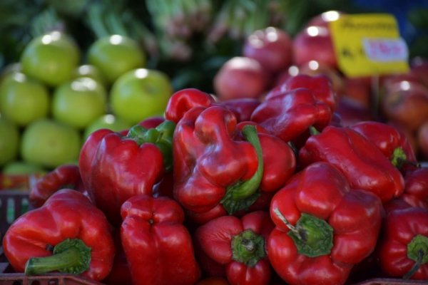 Ferias de la ciudad: hoy, en Plaza Torrent