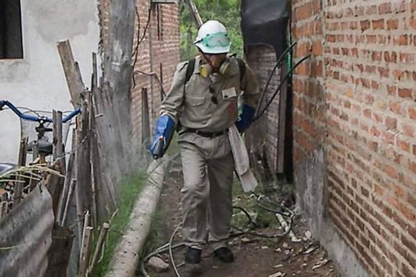 Corrientes: solo prevención para combatir el dengue