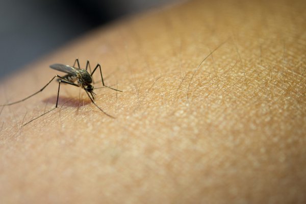 Tremendo: murió una beba de tres meses por dengue