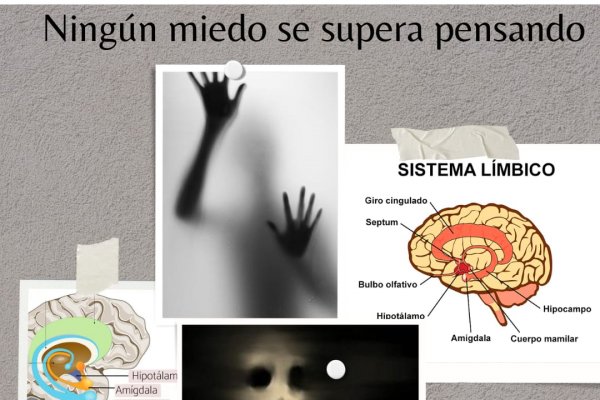 Ningún miedo se supera pensando -Desarrollo Humano-