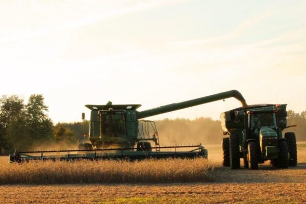 Argentina comenzó a exportar trigo a China, tercer comprador mundial