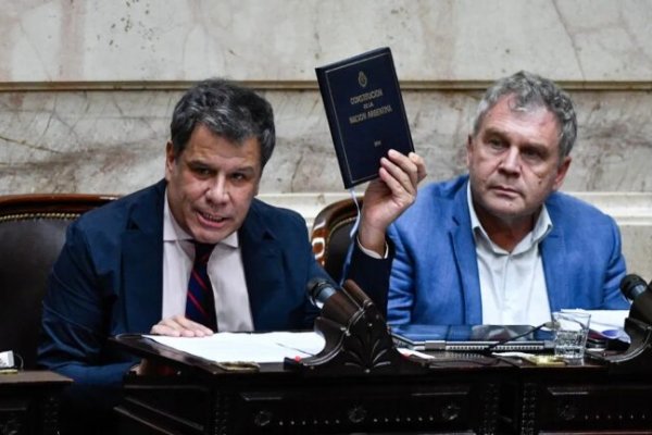Ocho diputados radicales anticipan el rechazo a las facultades delegadas por la Ley Ómnibus