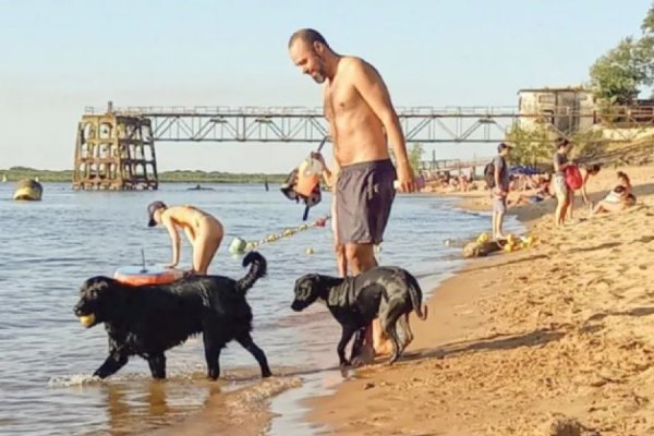 Corrientes: cobrarán multas de hasta $100.000 a dueños que no recojan las heces de sus perros