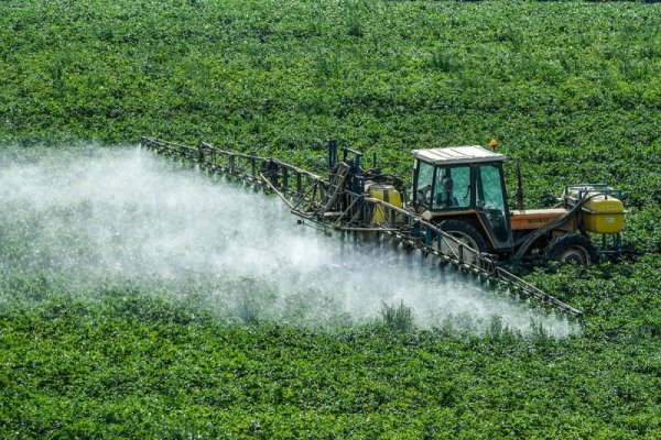 Argentina abandonó un estudio que la exponía como la más contaminada con pesticidas