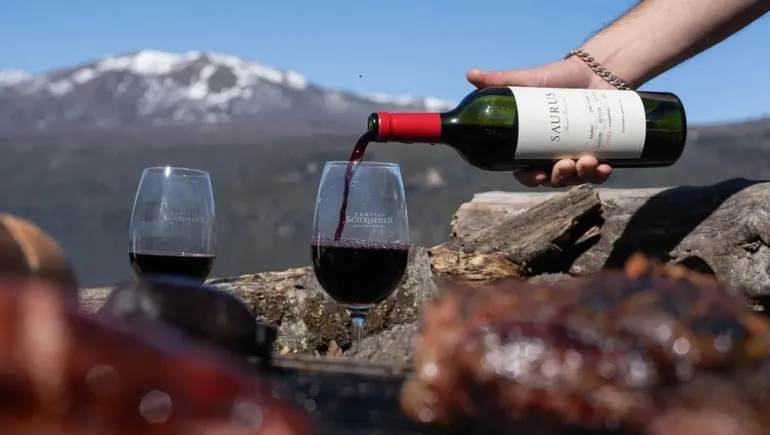 Neuquén te propone visitar de la ruta del vino en la provincia
