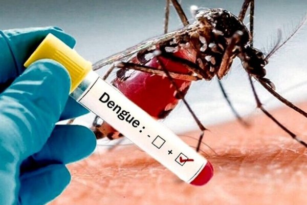 Mientras Corrientes dice que gestiona vacunas, Misiones amplía la vacunación gratuita contra el dengue
