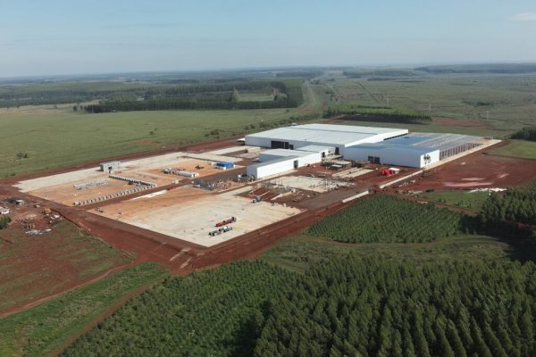 Grupo Acon Timber proyecta crear 700 empleos en Virasoro Corrientes