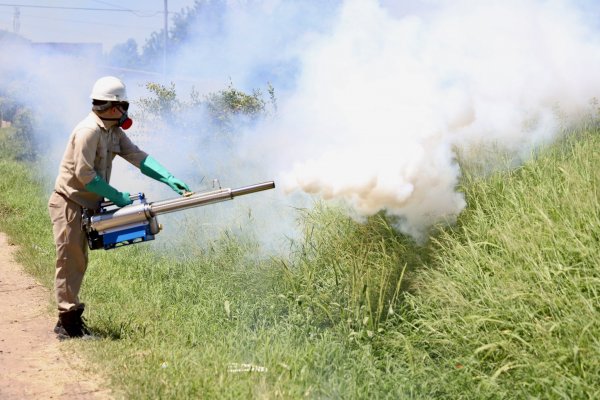 BROTE DE DENGUE! Salud Pública admitió en la ciudad de Esquina Corrientes