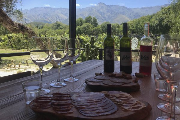 ¿Sabias que podes realizar tour vituales por los caminos del vino?