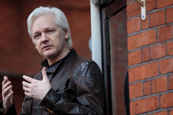 Libertad de expresión vs. seguridad nacional: experta analiza el caso Julian Assange