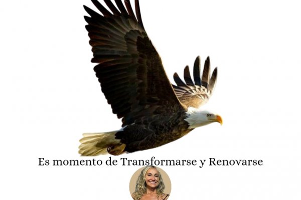 Es momento de renovarse y transformarse -Desarrollo Humano-