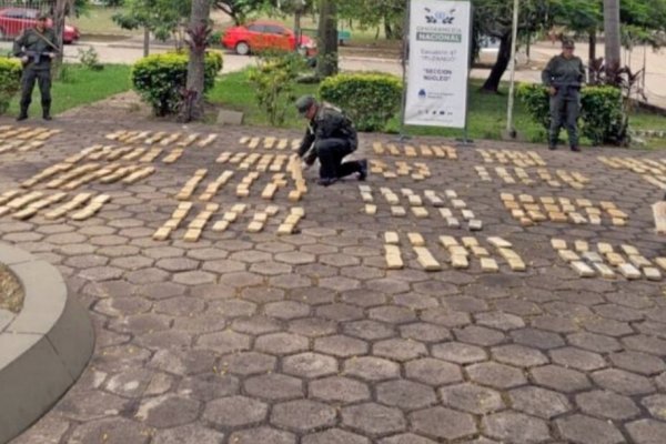 Corrientes: Desbaratan una organización narco que intentaba trasladar 347 kilos de marihuana