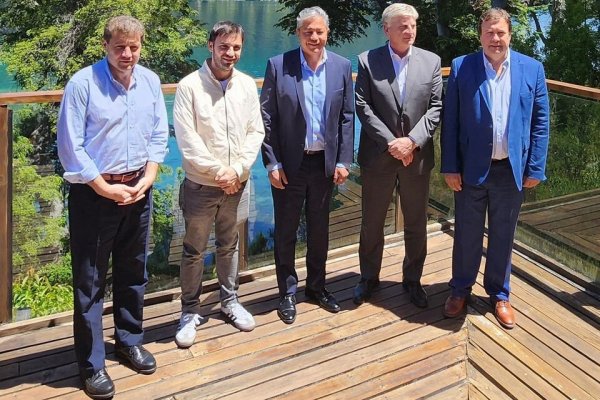El loco, el gato y las Provincias Unidas