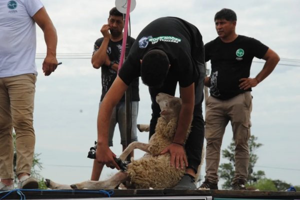 Cazadores Correntinos brilló con su Fiesta del Esquilador