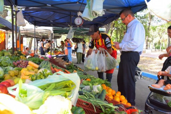 Ferias de la ciudad: hoy en Plaza Torrent y Plazoleta Los Amigos