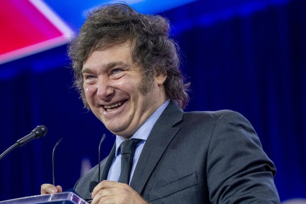 El escándalo de las criptomonedas promocionadas por Milei: el vicegobernador habló del tema