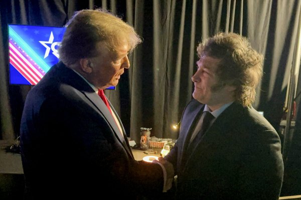 Argentina al límite: ¿puede Javier Milei sobrevivir sin Donald Trump?