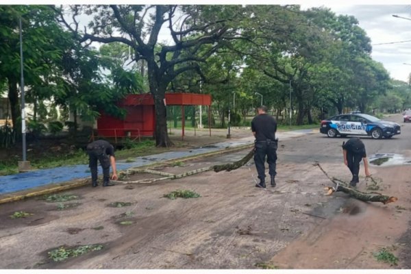 Policía Federal se sumó ayudando en la inundación en Corrientes