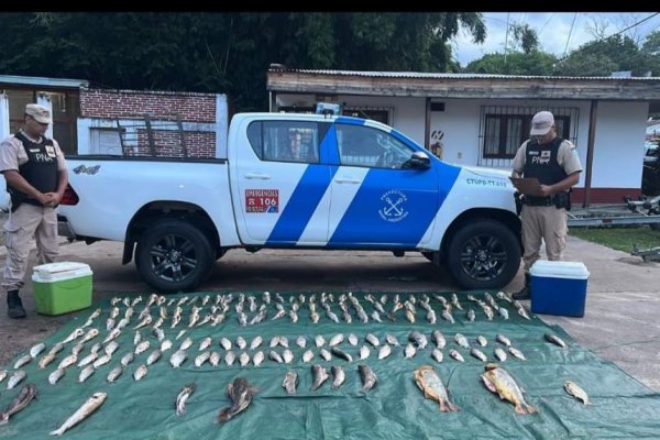 Corrientes: Prefectura scuestró más de 170 kilos de pescado