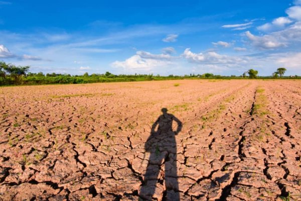 Monitorización de la sequía: Importancia, limitaciones y la contribución del índice NDVI en esta tarea