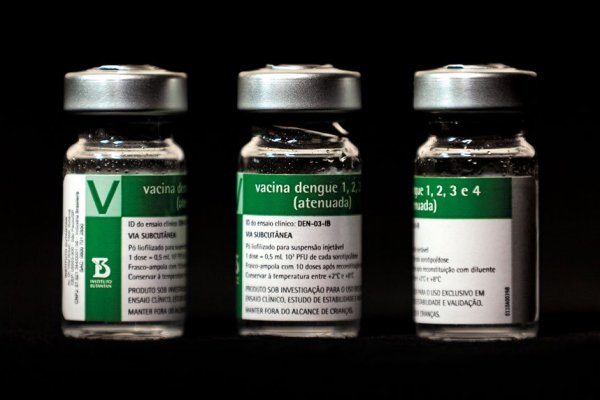 TRAS EL ESCÁNDALO EN VIRASORO: Valdés dijo que negocia comprar 200 mil dosis de vacuna contra el dengue
