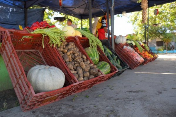 Ferias de la ciudad: hoy, en Plaza Torrent