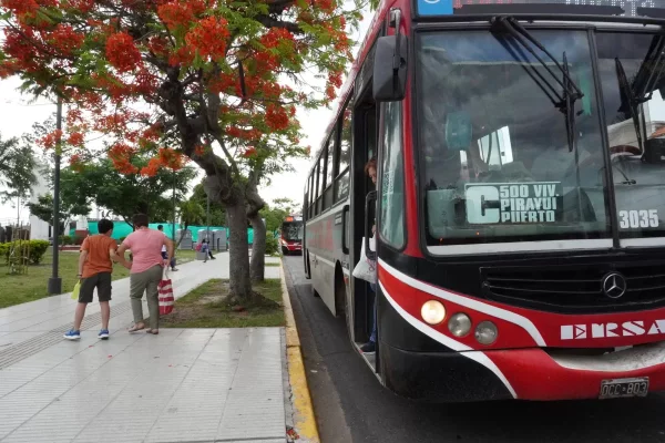 Cómo funcionarán las paradas en el Puerto de Corrientes