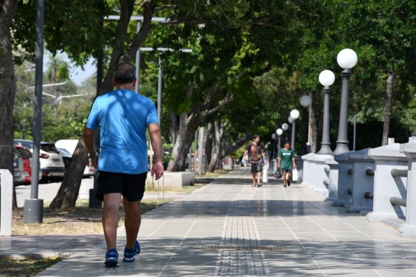 Calor extremo: “Los sistemas de salud deben tener una visión estratégica para los próximos 10 años”