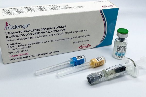 Vacuna contra el dengue en Corrientes: a $35.000 disponibles desde hoy para afiliados a IOSCOR