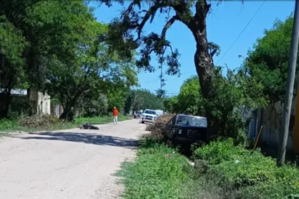 Un ciclista fue atropellado por una camioneta, lo atacaron abejas y murió