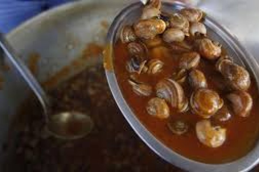 En Córdoba podes disfrutar de os más ricos caracoles Corrientes Hoy