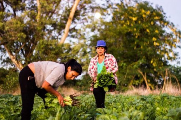 El cierre de Agricultura Familiar afectará a más de 10.000 familias correntinas