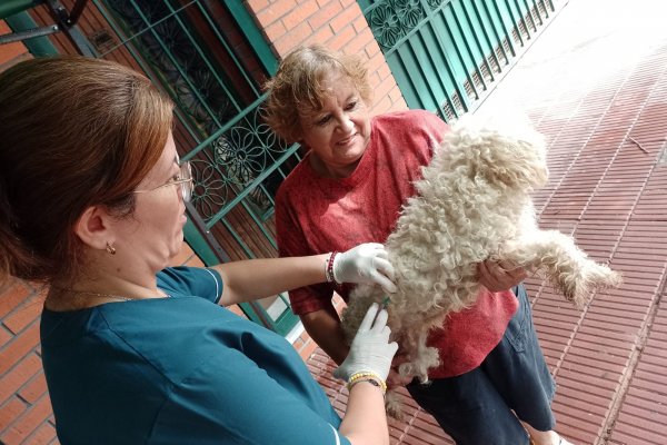 Corrientes: continúan con la vacunación antirrábica