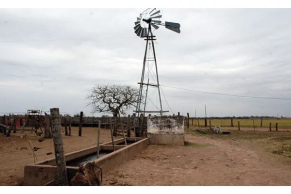 Ola de calor en Chaco: “el pasto está como si le hubieran tirado agua hervida”