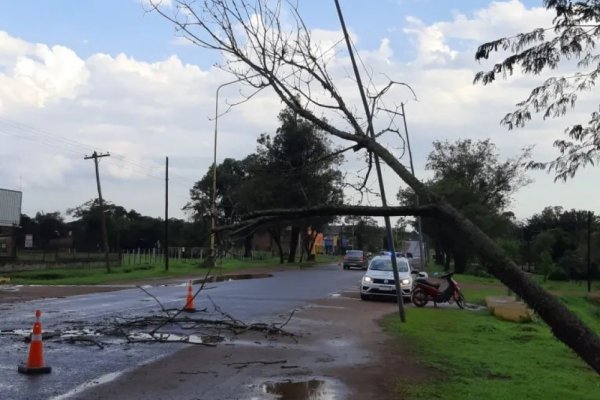 Corrientes: Fuerte temporal afectó a Santo Tomé y preocupa la crecida del río Uruguay