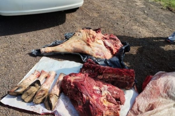 OTRA VEZ! Más carne clandestina en la ruta