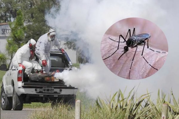 Dengue: Corrientes confirmó su primer caso y el NEA 106