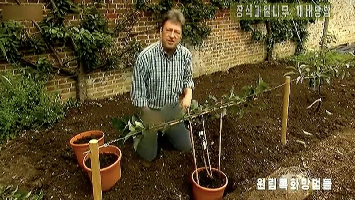 La televisión de Corea del Norte censura los pantalones del presentador de un programa británico de jardinería